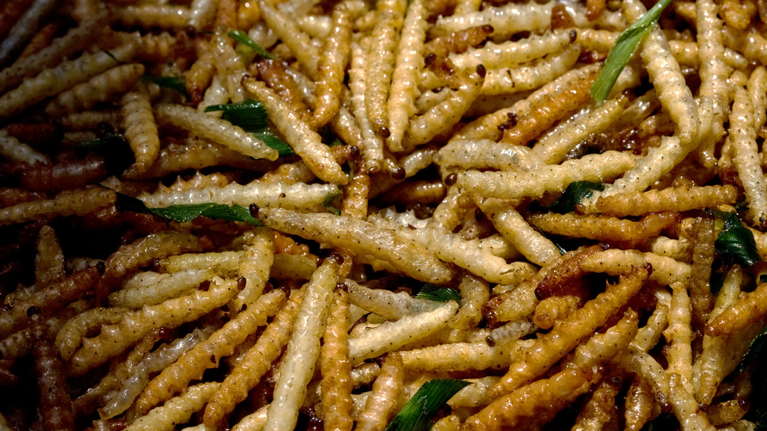 Deep Fried Mixed Worms, Yunan, China